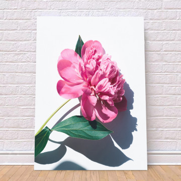 Постер 40x50 8